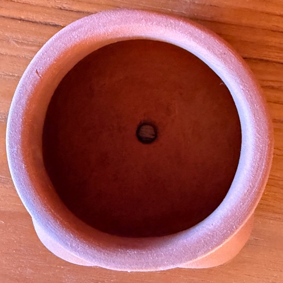 Rose Grown Goddessware Terracotta Boob Planter - Picture 3 of 4